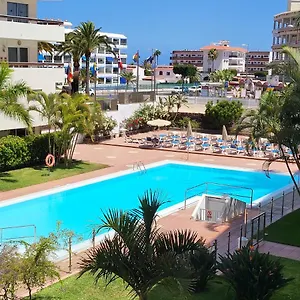 Camelias Playa del Inglés